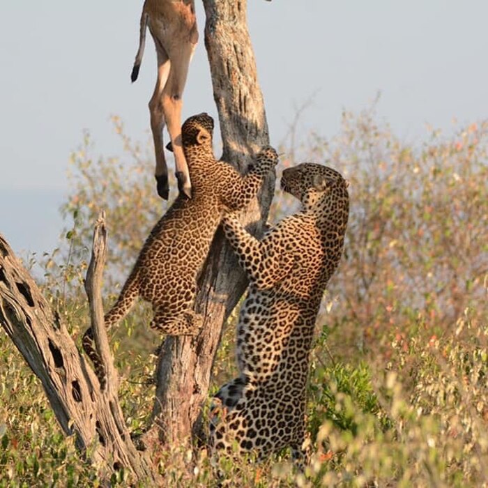 Лезь обедать