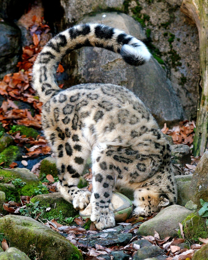 Понедельник - день тяжёлый