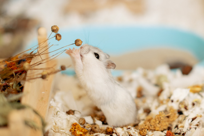 Иди на ручки, вкусняшечка!