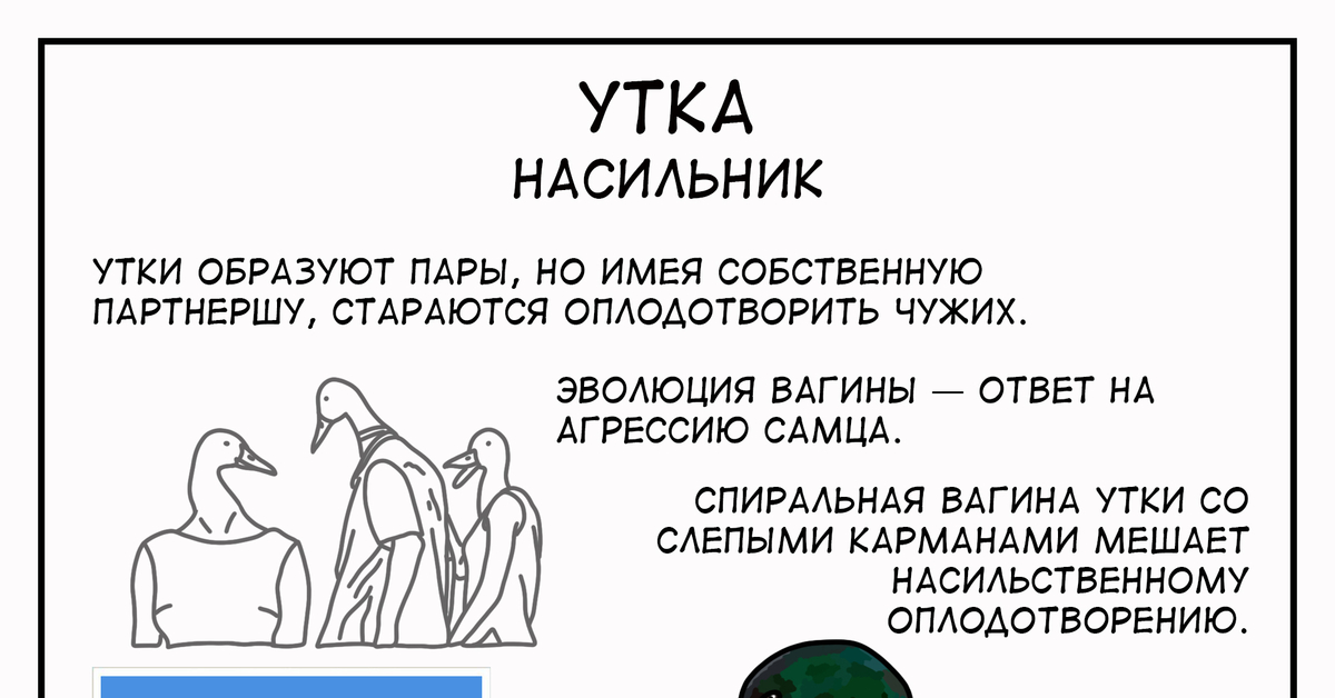 Педофил: последние новости на сегодня, самые свежие сведения | shartash66.ru - новости Новосибирска