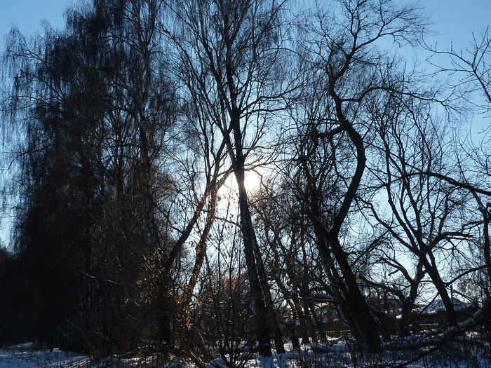 Зимнее солнце