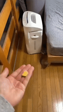     ,   , , , 