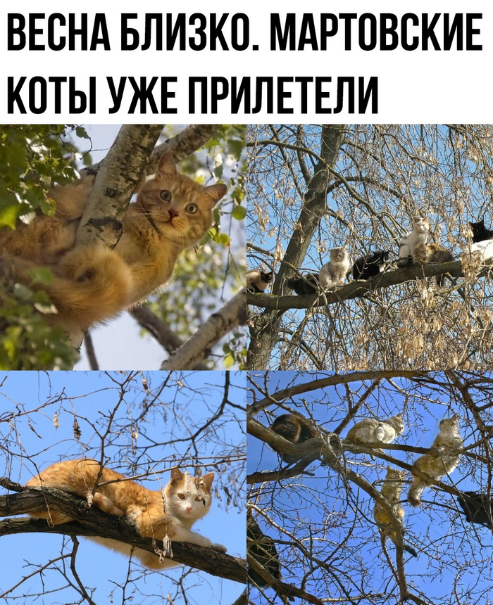   .    ?     +5Ѱ   , , , 