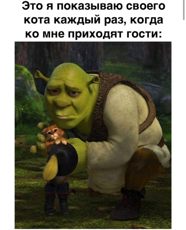  ,   , , 