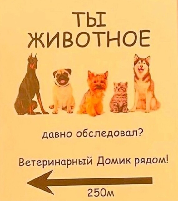 ����� ������� ������� �����-������ �������� � �����������. ��������� ������� ����