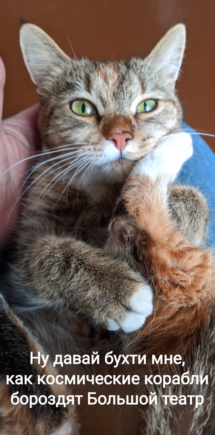 � ����������� ������