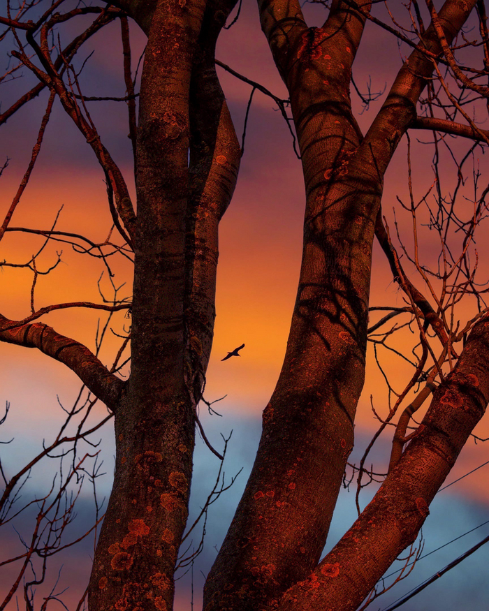 Доброе утро, Мир !