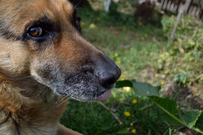  ,  , ,  , Nikon d3100, , , , 