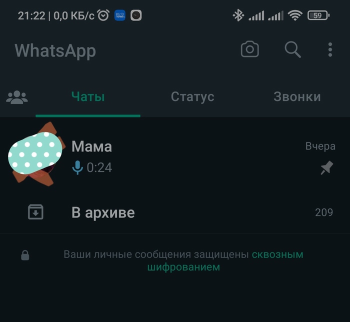      /   ? , WhatsApp, , 