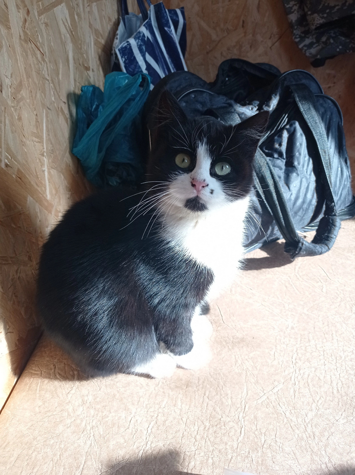 ���������� ���������