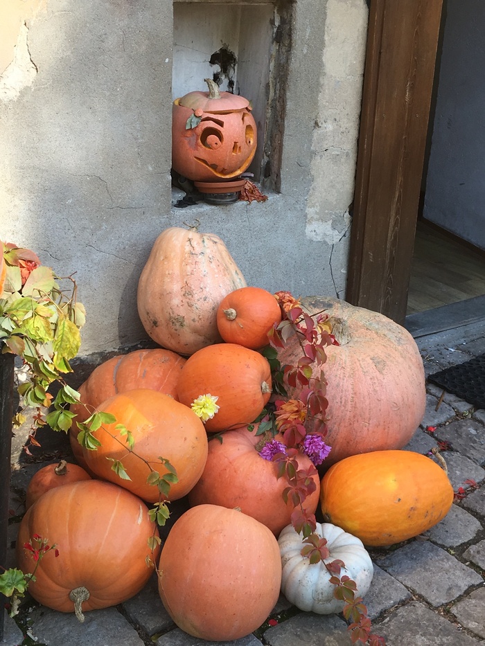 Тыковин Хэллоуин, Осень, Warcraft, World of Warcraft, Blizzard, Тыква, Тыква на Хэллоуин, Оранжевый, Чехия, Длиннопост