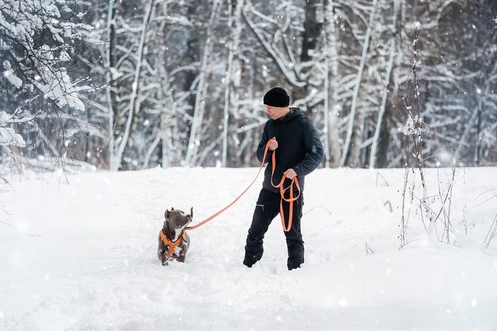 ���� - ����������. ����� � �������. �����������. �����������      � �� ������