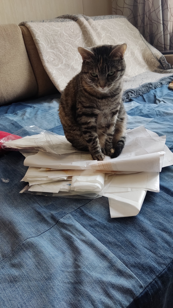 Хранительница лекал)