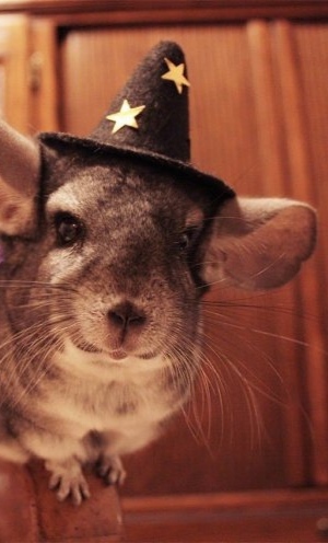 ������ �� ��������, ������ �� ��������...