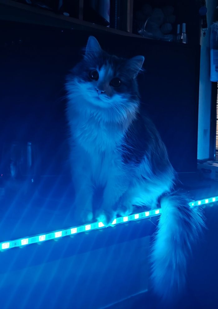 ����� ���������