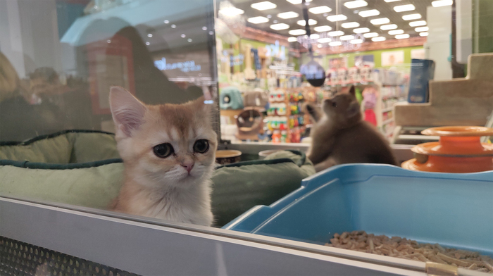 ���������� �� ������