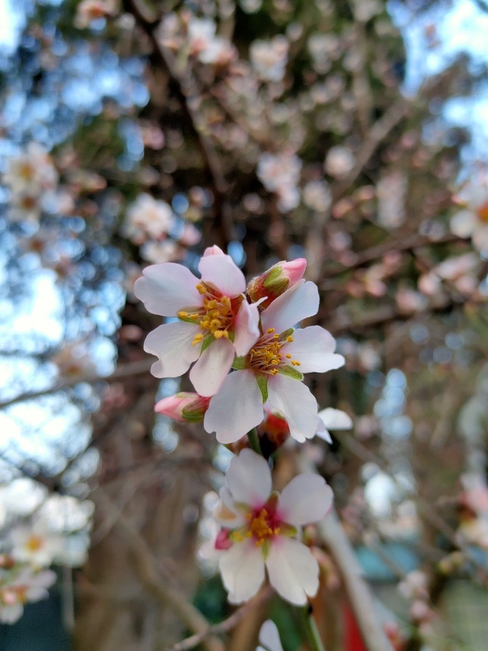 ��������� ����������