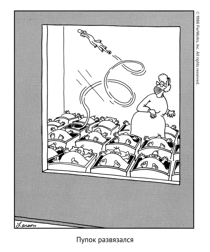    ,  , The Far Side