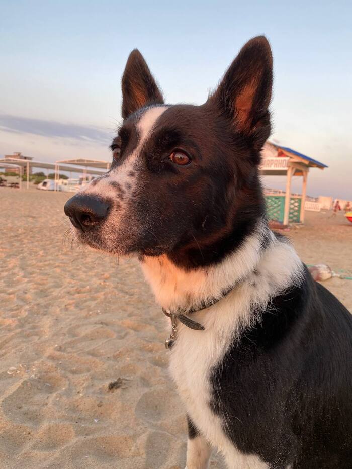 ��� ������ �� ������� ���������