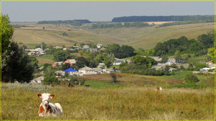 ...*��� ��� �������....*