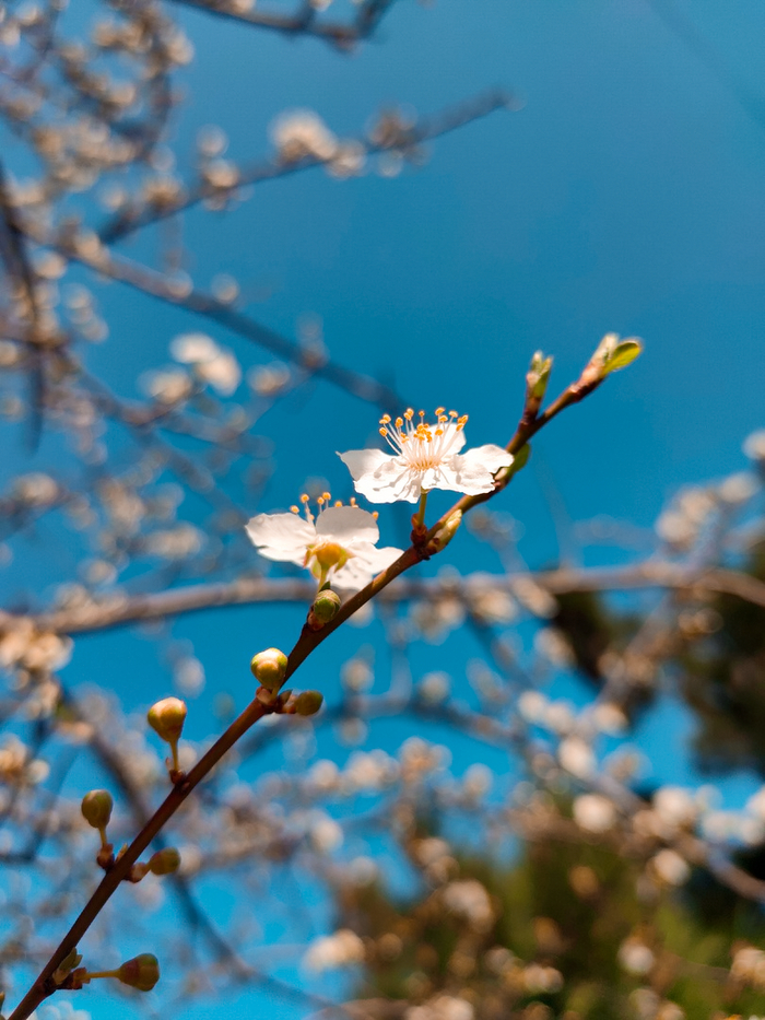 � ����� ��������� ����������