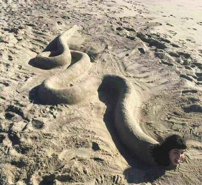 ��� ������