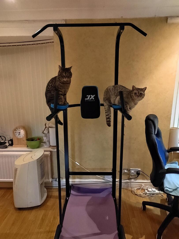 ����������