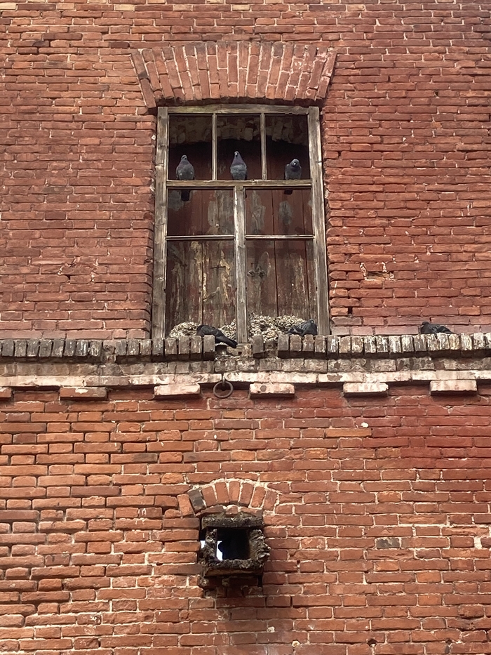 Вопросик назрел, обсудим ?