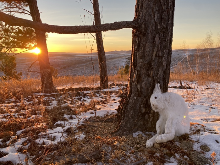 �� ����� ���� ���