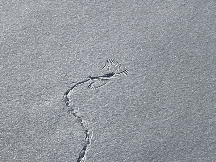 Загадочная загадка | Пикабу