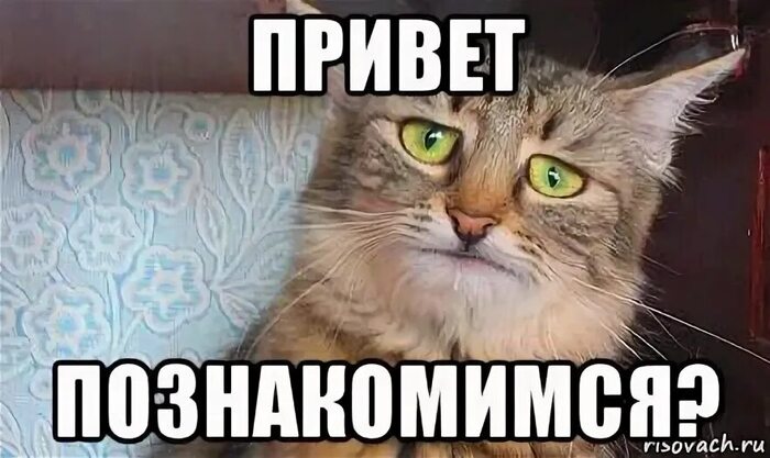 Как не разочароваться в онлайн-знакомствах (а также в себе и в своей одинокой жизни)