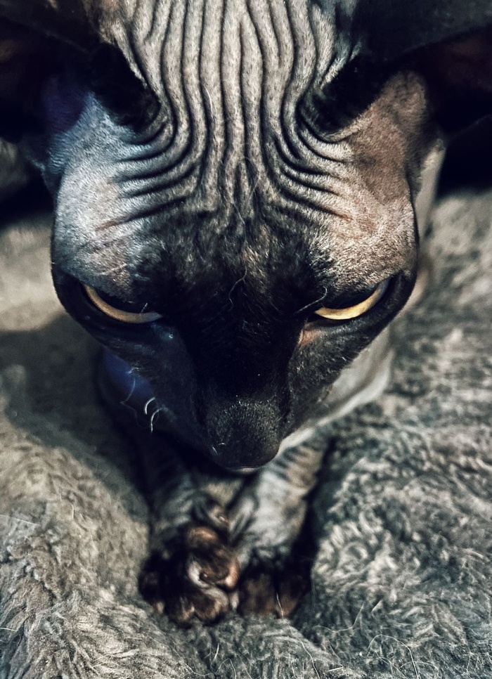 ������� ������, ����� ��� ������ ���