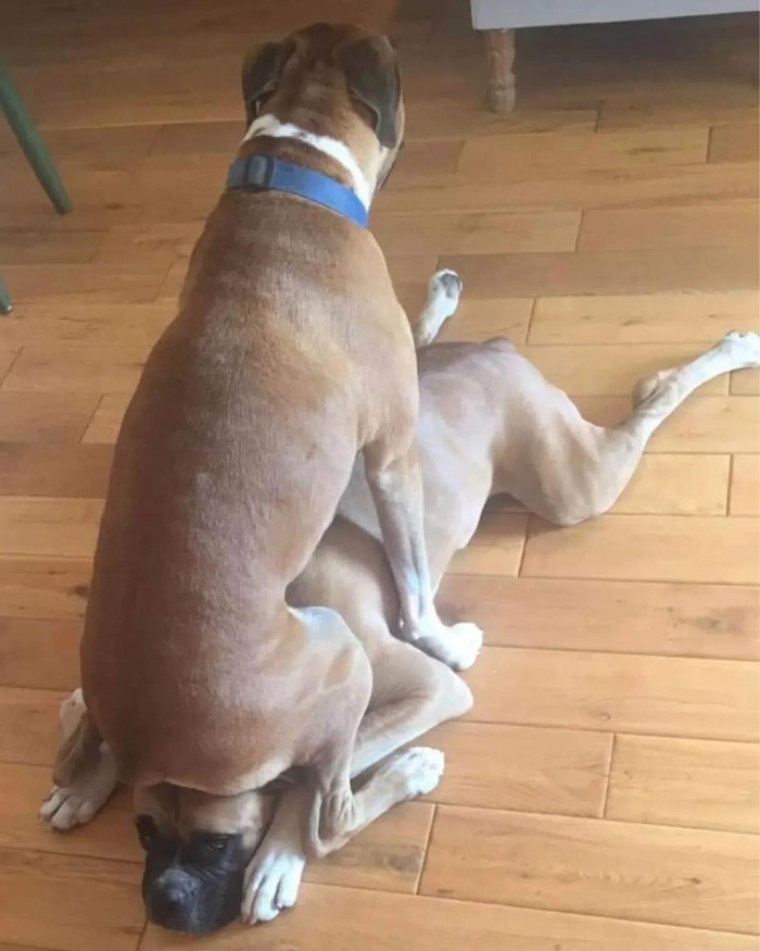 Где бы сесть поудобнее?