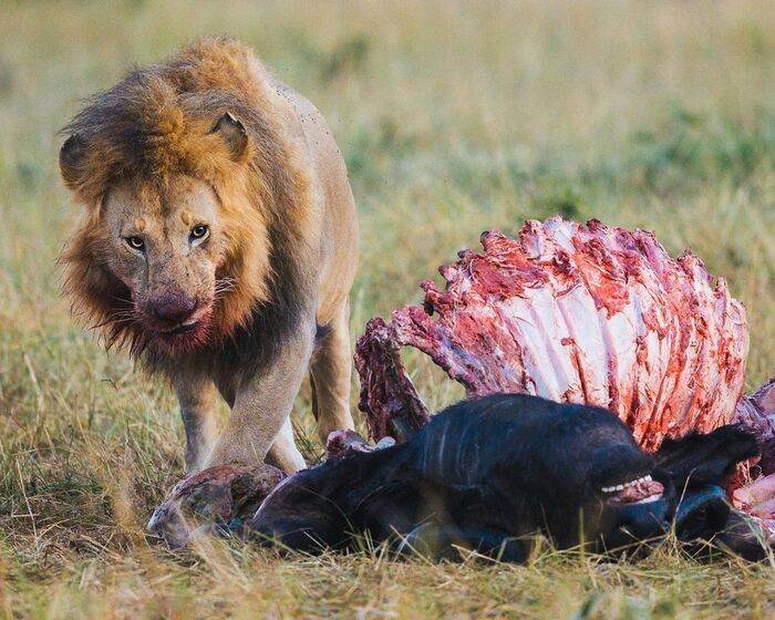 Кушать подано