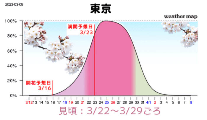 Первые бутоны сакуры в Токио распустятся раньше обычного