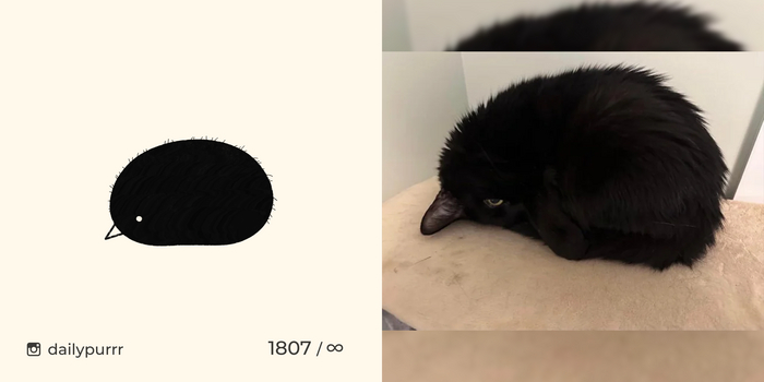 Когда ритуал превращения в ворону прошел успешно