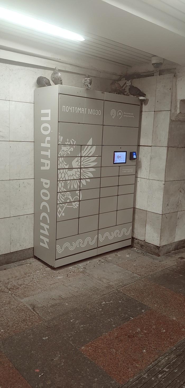 � �������� ������ ��� ������ ��� ������ ������ ����������...