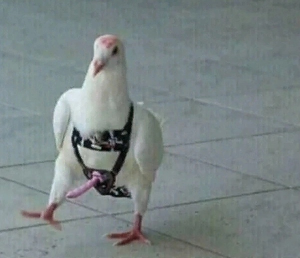     &quot;  #&quot;