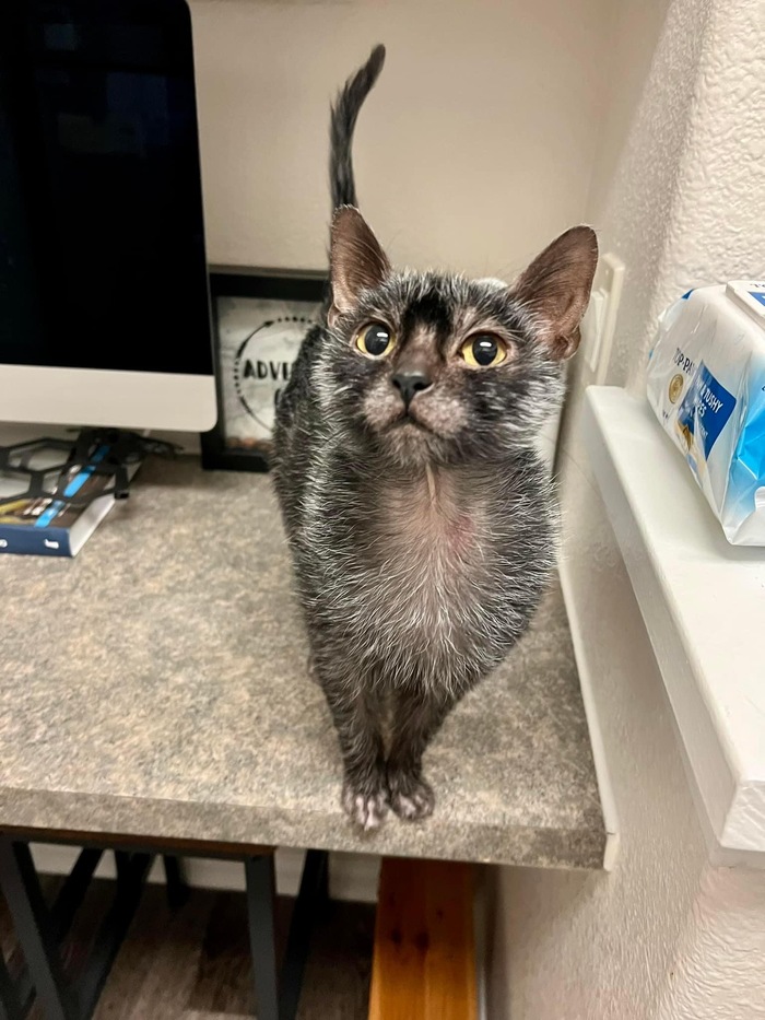 Как же я хорош