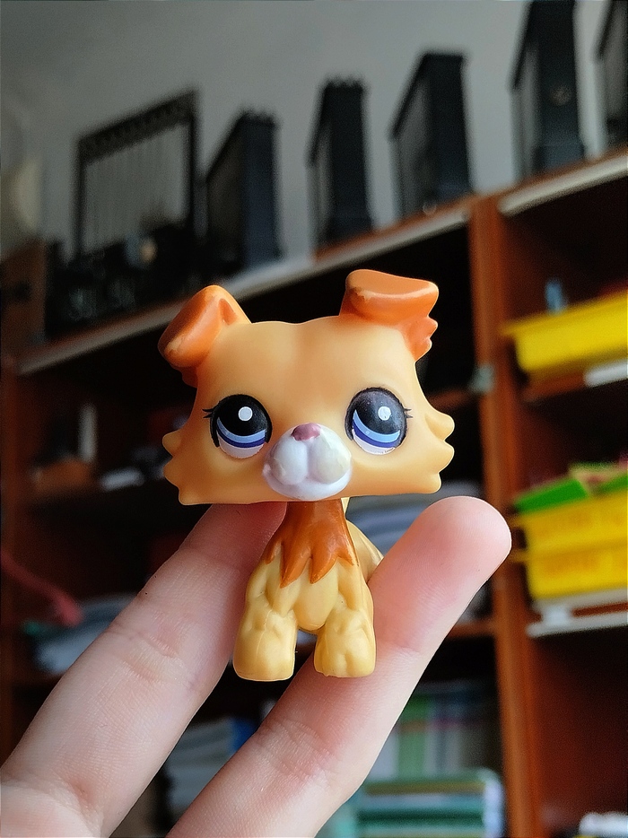  ()/LPS Collie Charlotte)/  /A world of our own/LPS // Littlest pet shop, , 