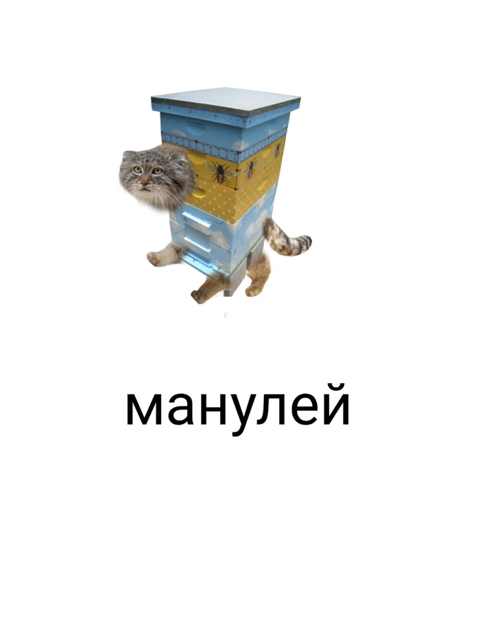  , ... , , , ,   