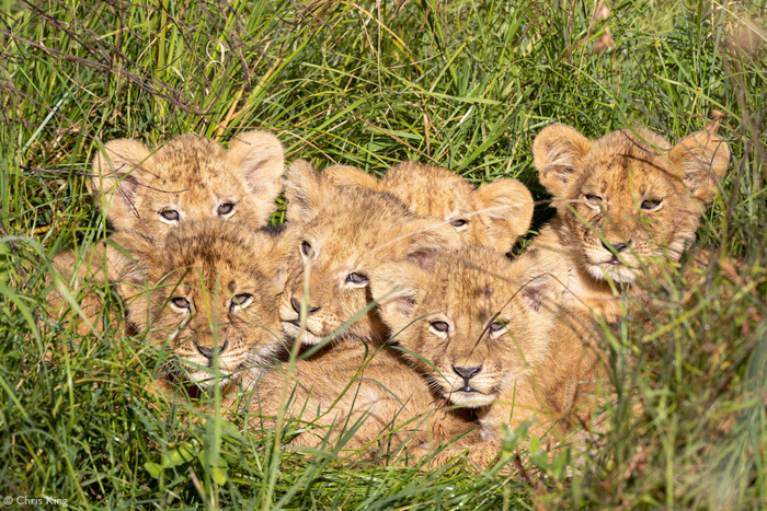 Не уходите, мама сейчас придёт