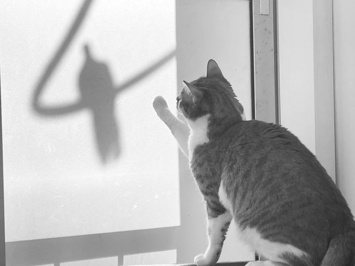 ��� ������ � ��� ������