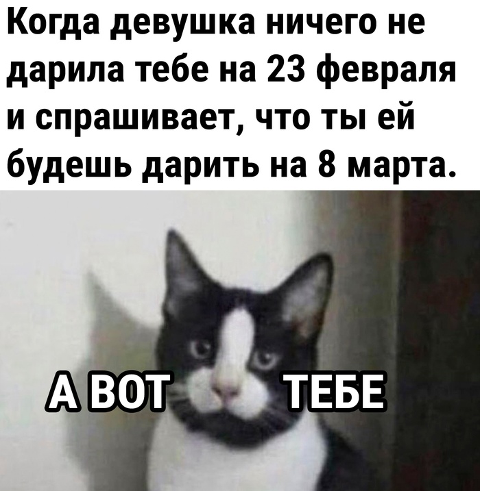 Он подарит котика?
