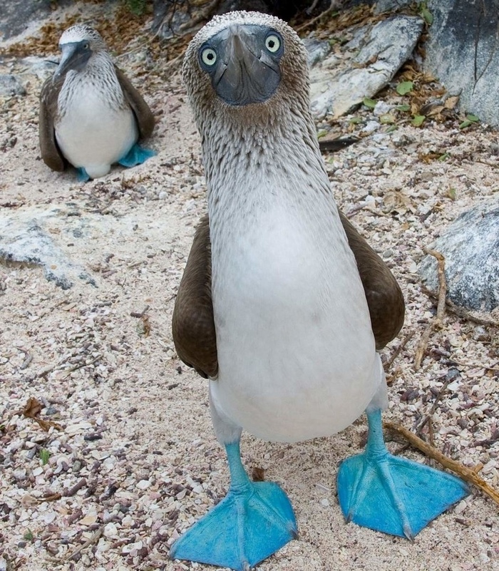   , , , , ,  , , , 