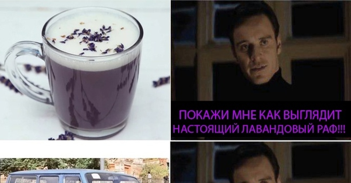 Какой вам кофе раф мем с собакой Настоящий лавандовый раф Пикабу