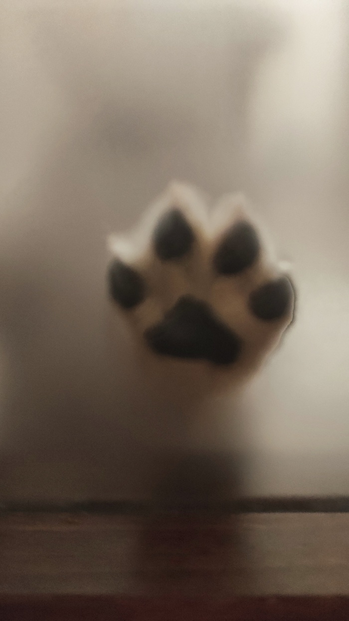  , ,    ,  ,  