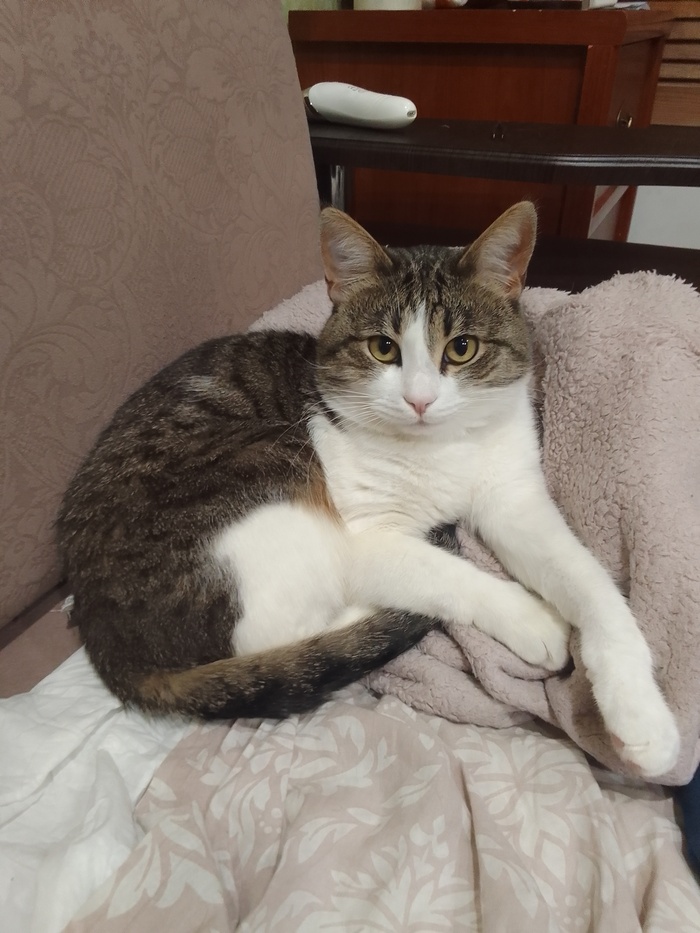 ������ ���)