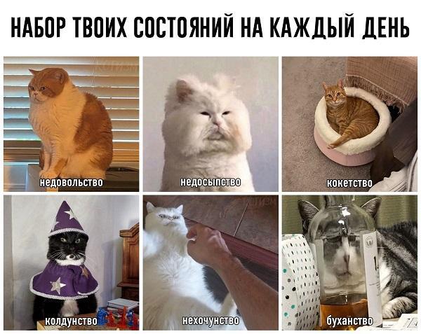 Недельное расписание