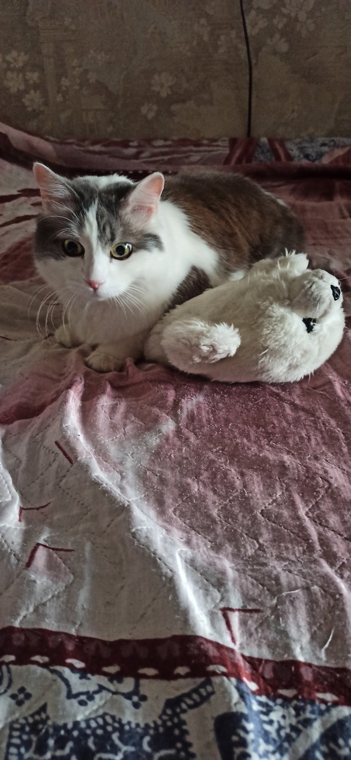 Мартовский кот